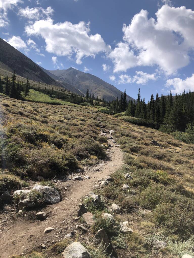 Hiking trail in the mountains of colorado