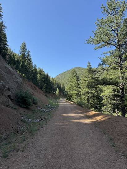 Trail running in colorado