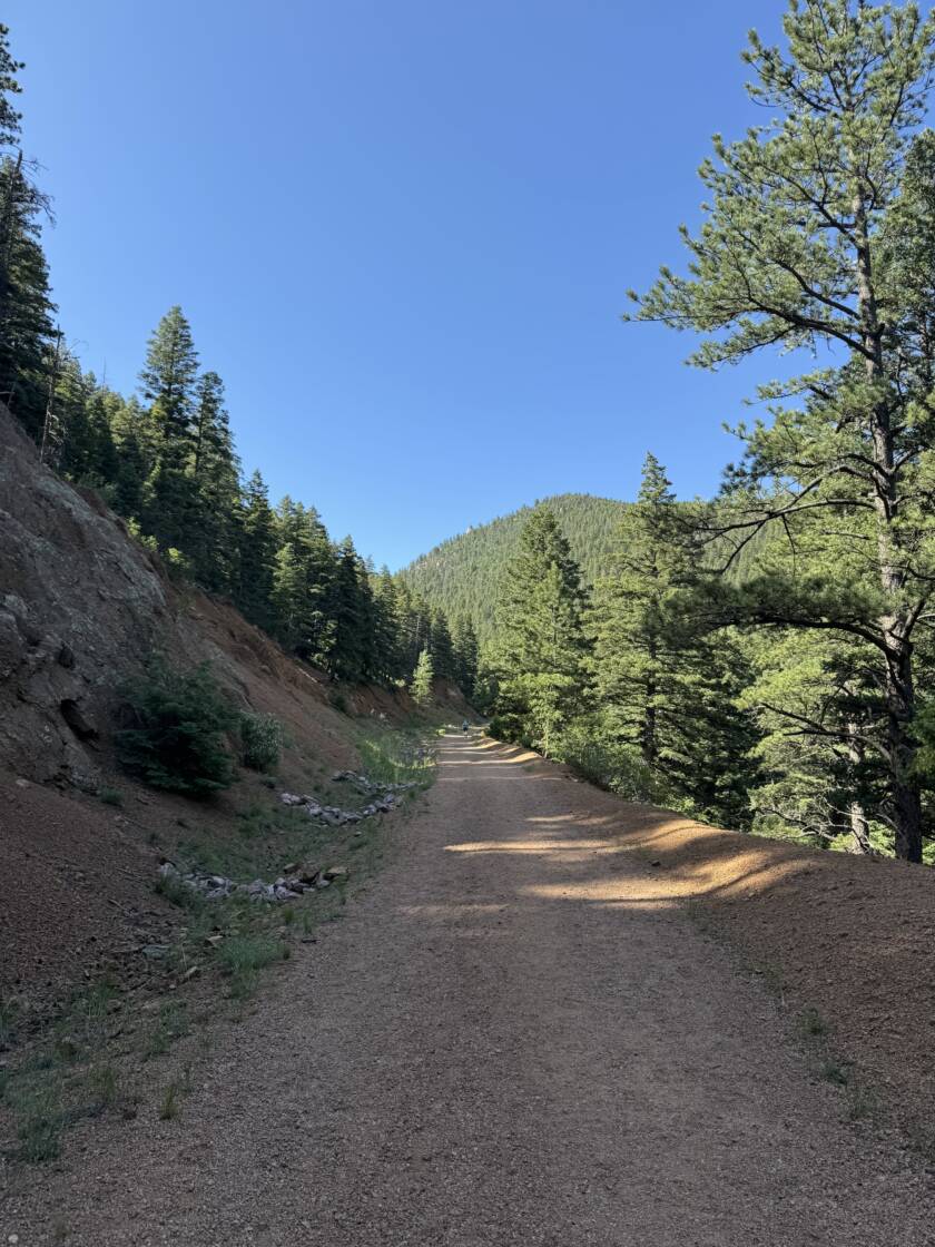 Trail running in colorado
