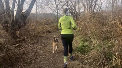 Running fueled by fall recipes