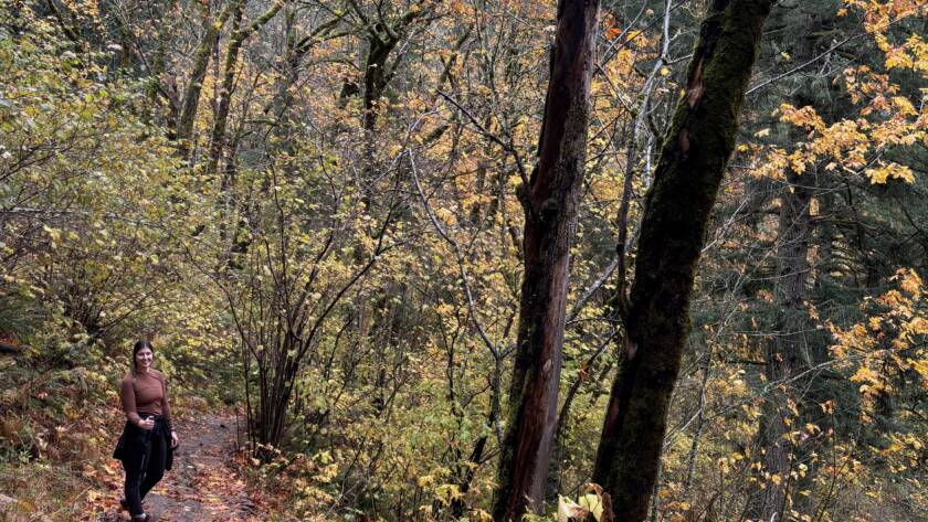 exercise and brain chemistry - courtney hiking in Oregon to support physical and mental health
