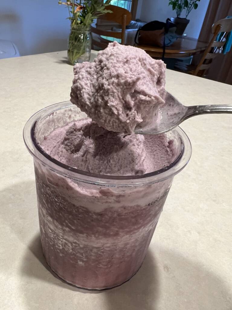 understanding protein by making a high protein sweet treat berry creami